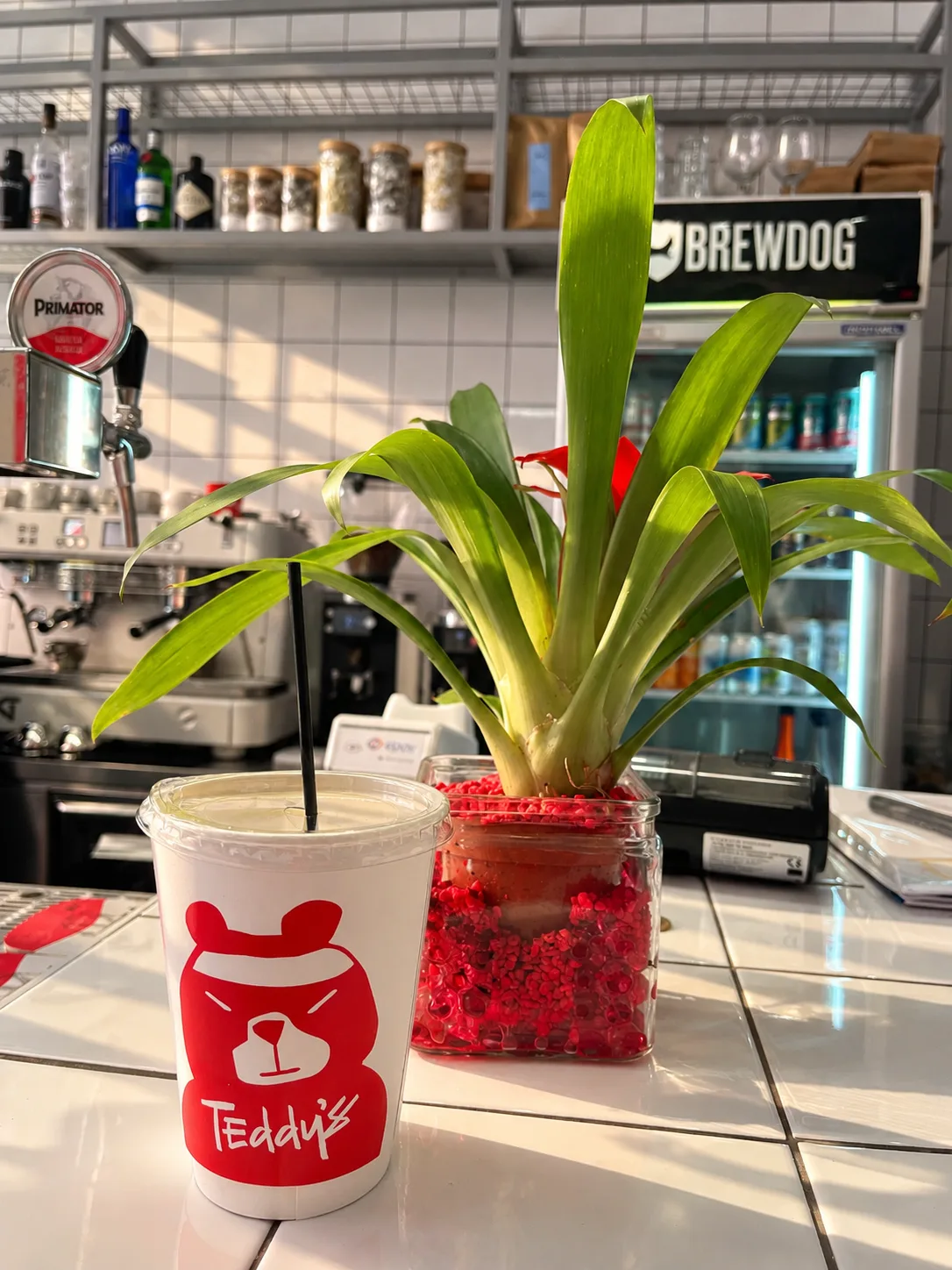 Teddy's Cafe — photograph 10